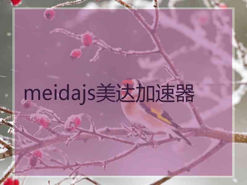 meidajs美达加速器