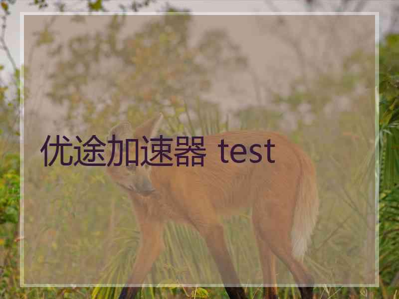 优途加速器 test