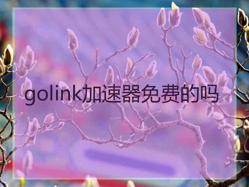 golink加速器免费的吗