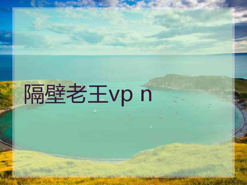 隔壁老王vp n