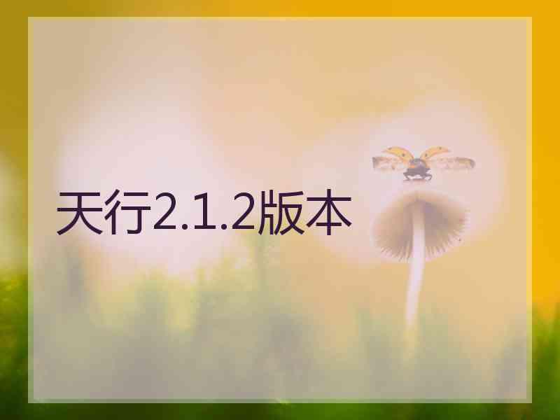 天行2.1.2版本