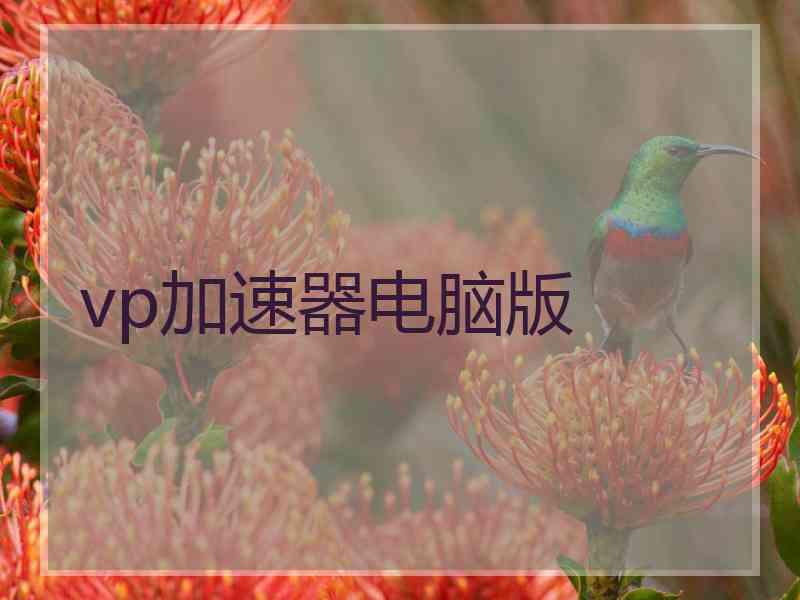 vp加速器电脑版