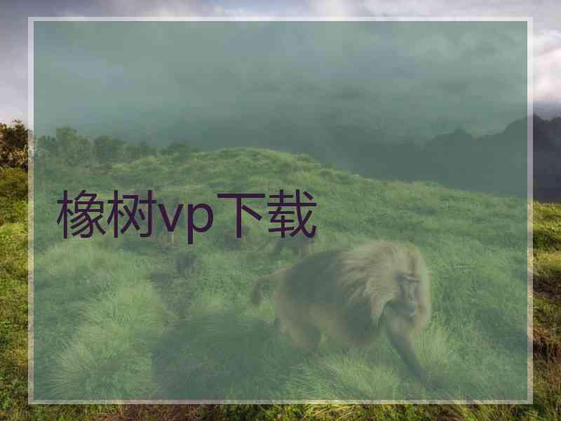 橡树vp下载