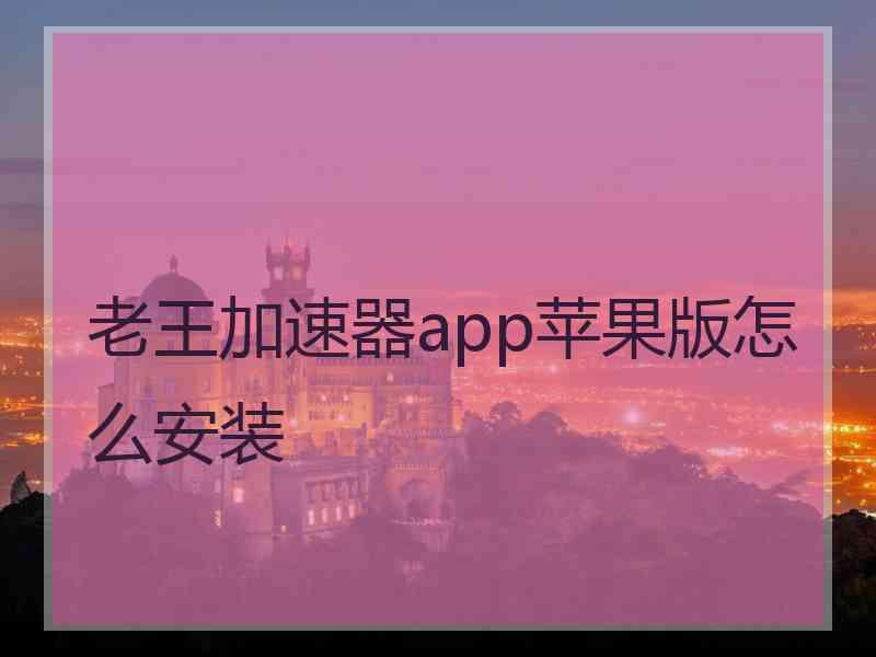 老王加速器app苹果版怎么安装