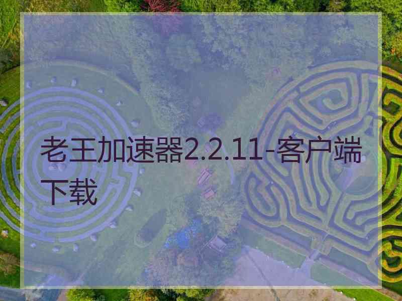 老王加速器2.2.11-客户端下载