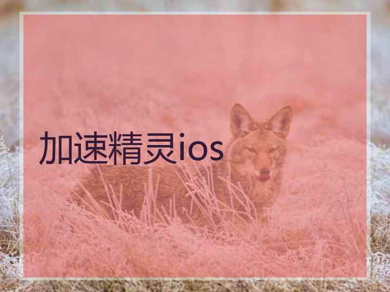 加速精灵ios