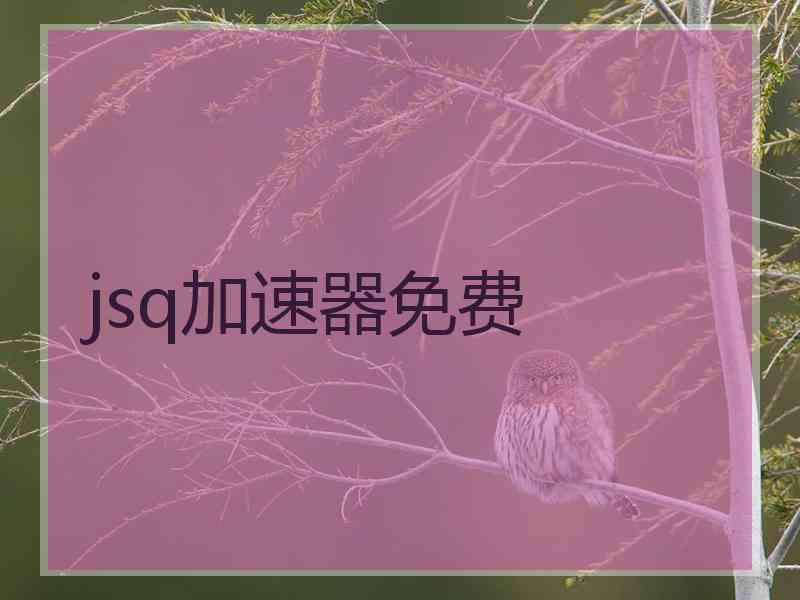 jsq加速器免费