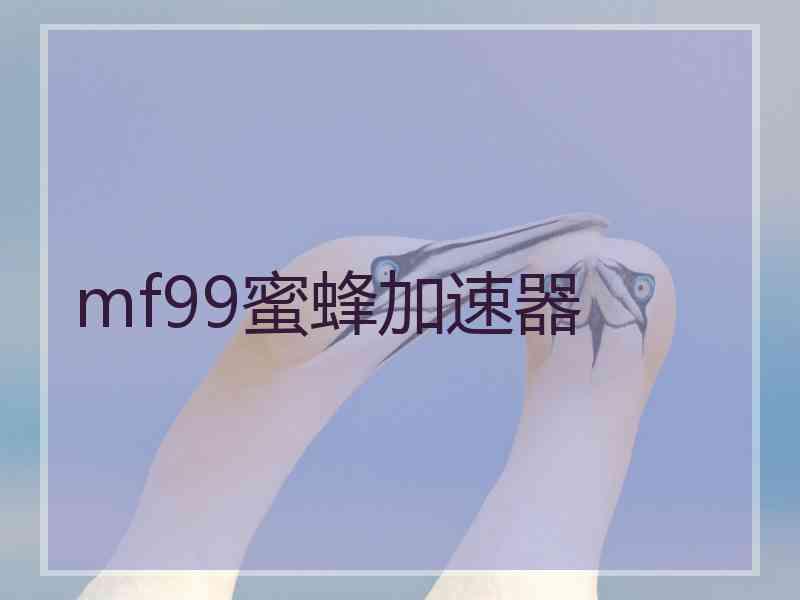 mf99蜜蜂加速器