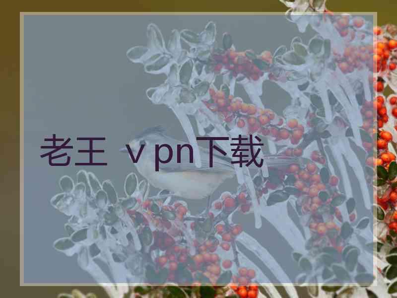 老王 ⅴpn下载