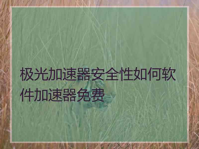 极光加速器安全性如何软件加速器免费