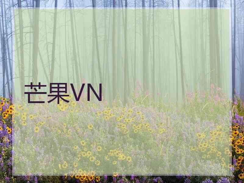 芒果VN