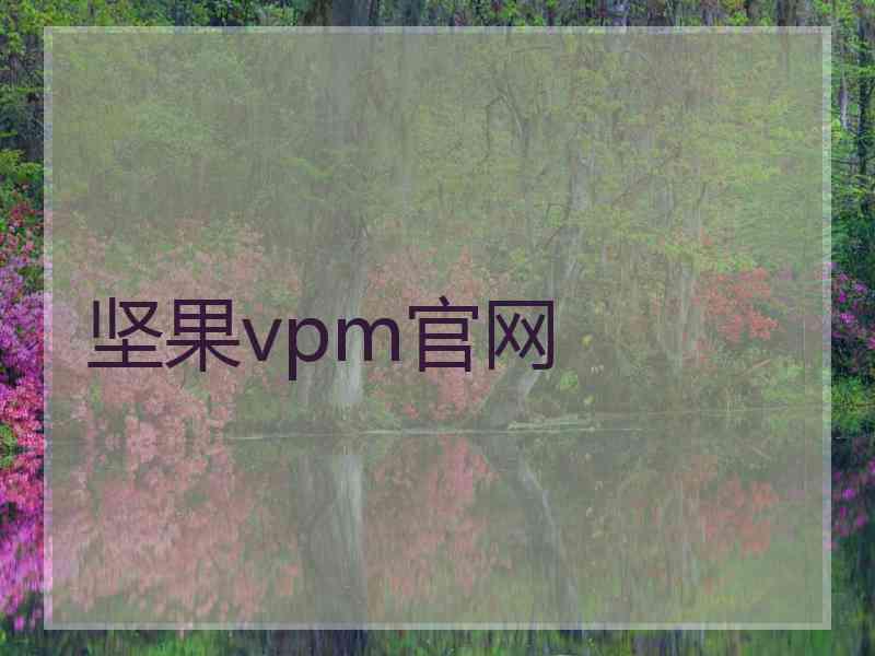 坚果vpm官网