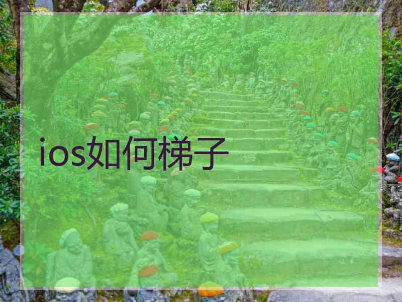 ios如何梯子