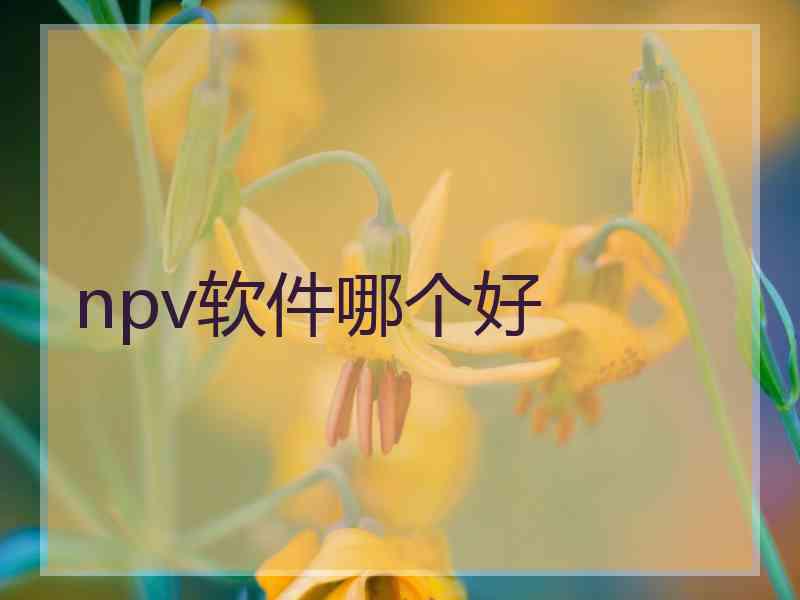 npv软件哪个好