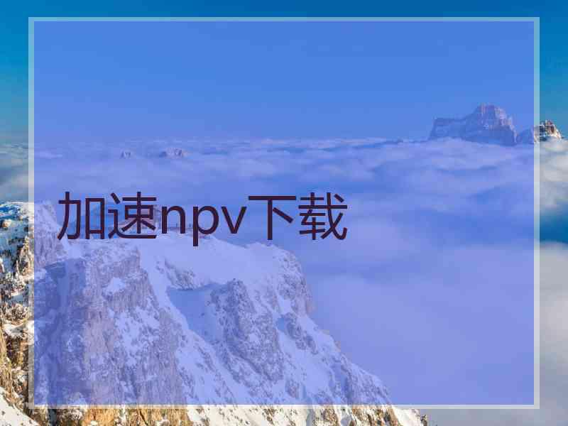 加速npv下载