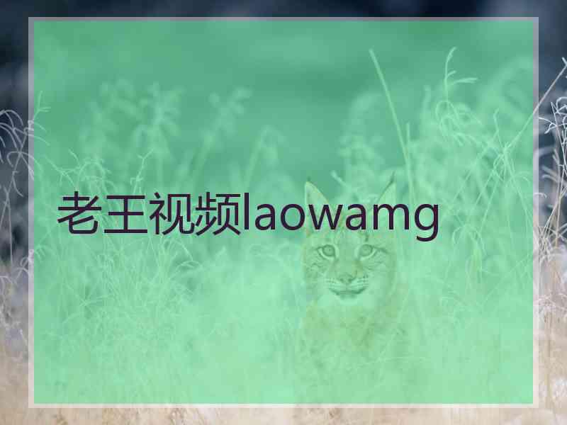 老王视频laowamg