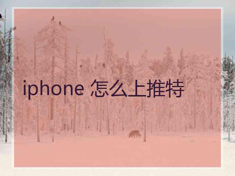 iphone 怎么上推特