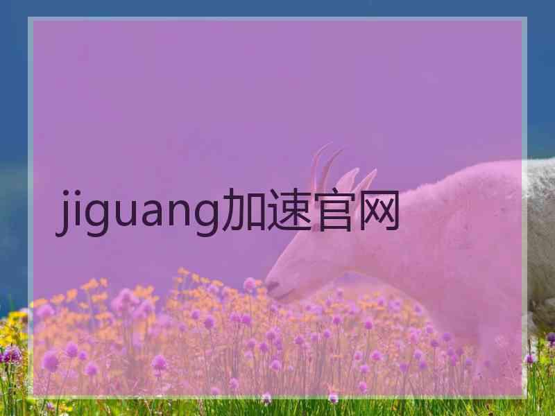 jiguang加速官网