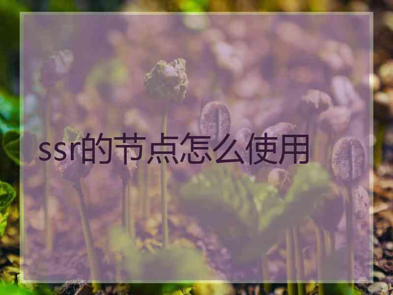 ssr的节点怎么使用