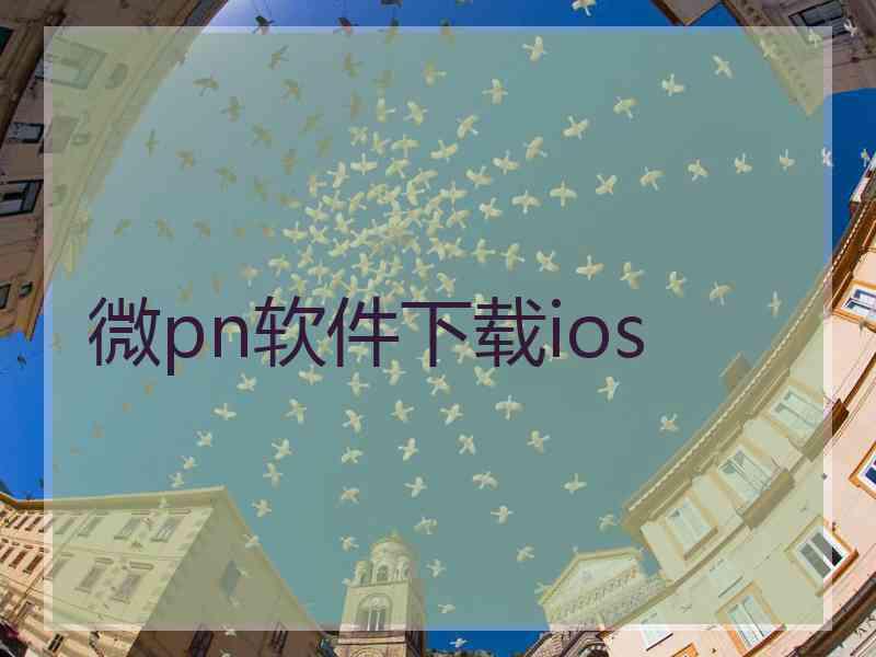 微pn软件下载ios