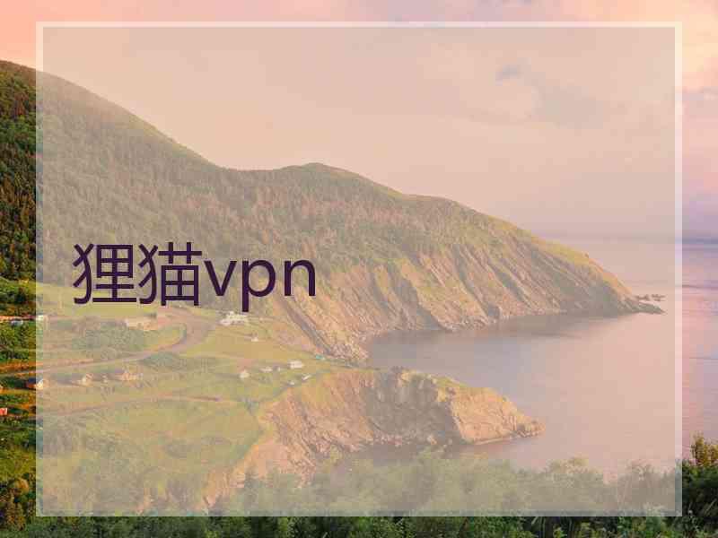 狸猫vpn