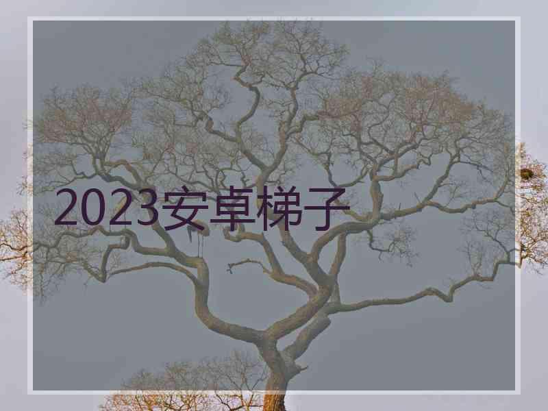 2023安卓梯子