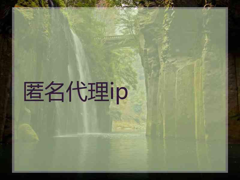 匿名代理ip