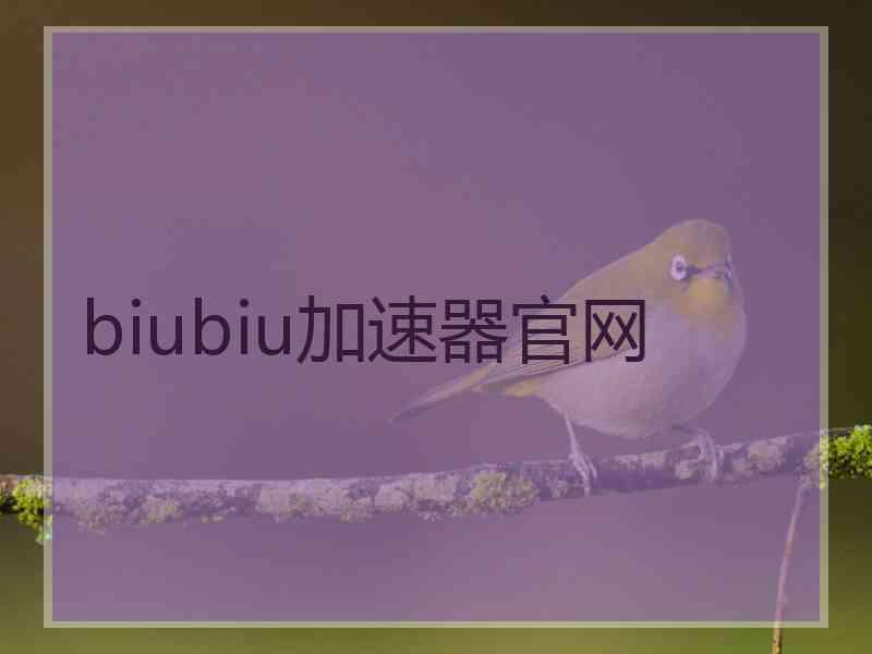 biubiu加速器官网