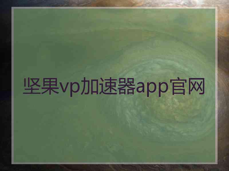 坚果vp加速器app官网