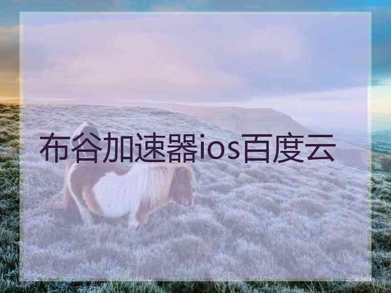 布谷加速器ios百度云