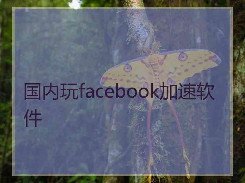 国内玩facebook加速软件