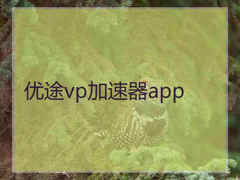 优途vp加速器app