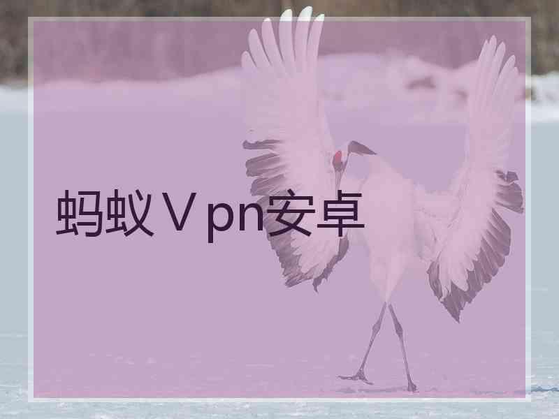 蚂蚁Ⅴpn安卓