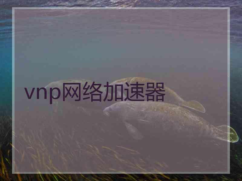 vnp网络加速器