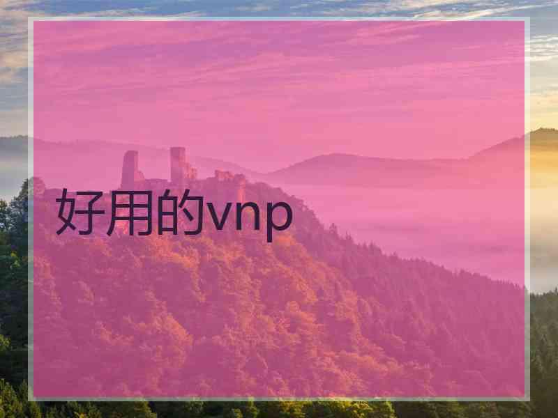 好用的vnp