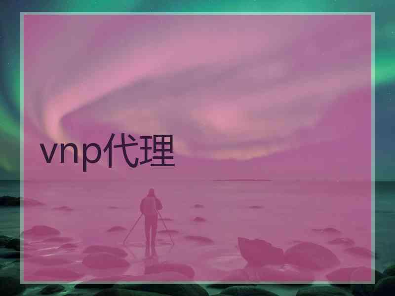 vnp代理