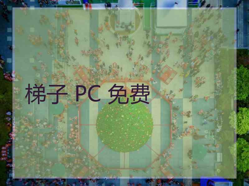 梯子 PC 免费