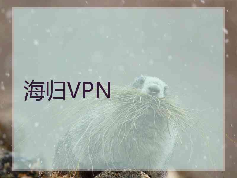 海归VPN