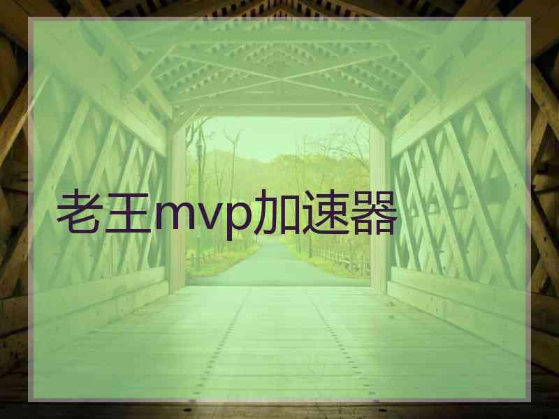 老王mvp加速器