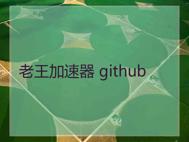 老王加速器 github