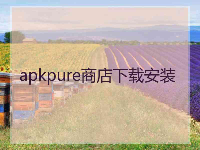 apkpure商店下载安装