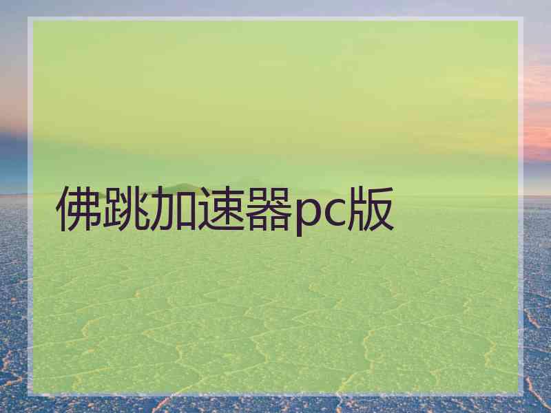 佛跳加速器pc版