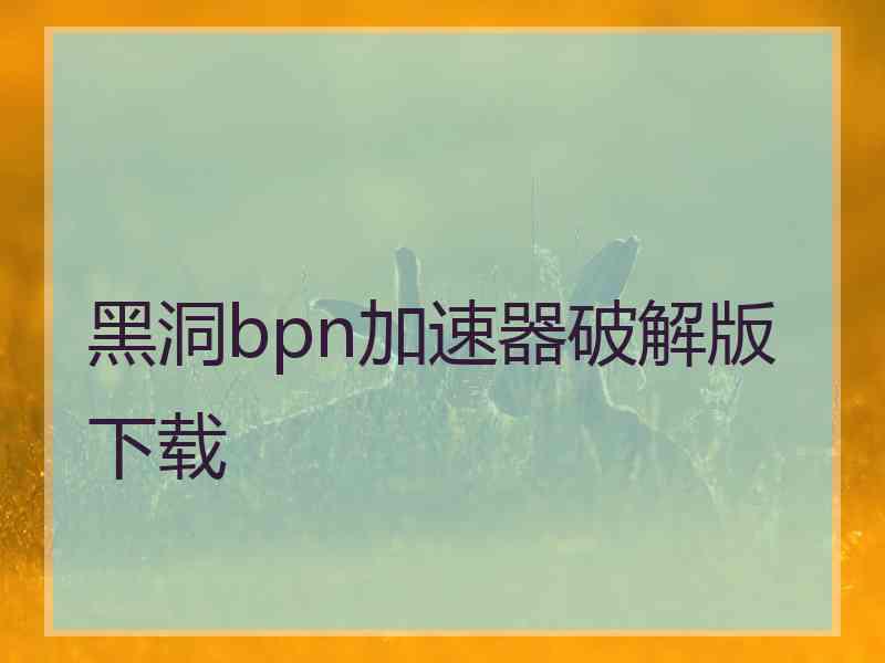 黑洞bpn加速器破解版下载