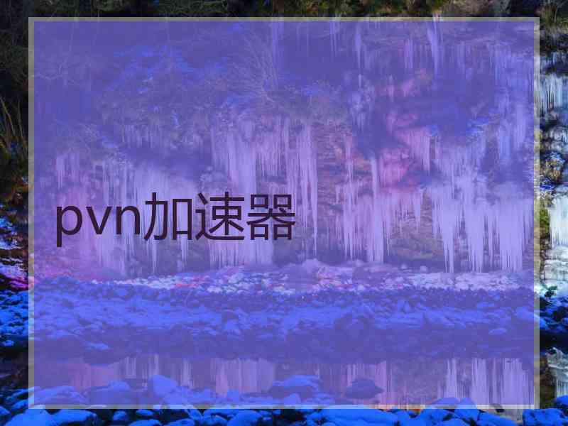 pvn加速器