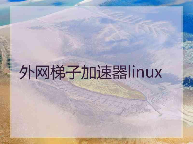 外网梯子加速器linux