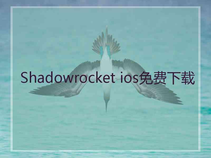 Shadowrocket ios免费下载