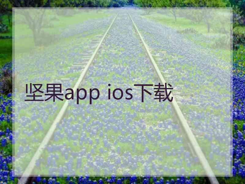 坚果app ios下载