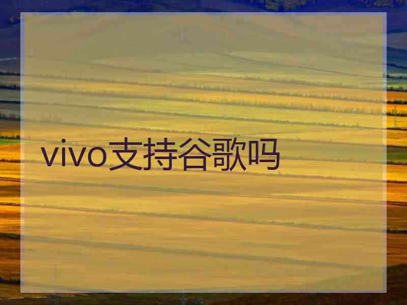 vivo支持谷歌吗