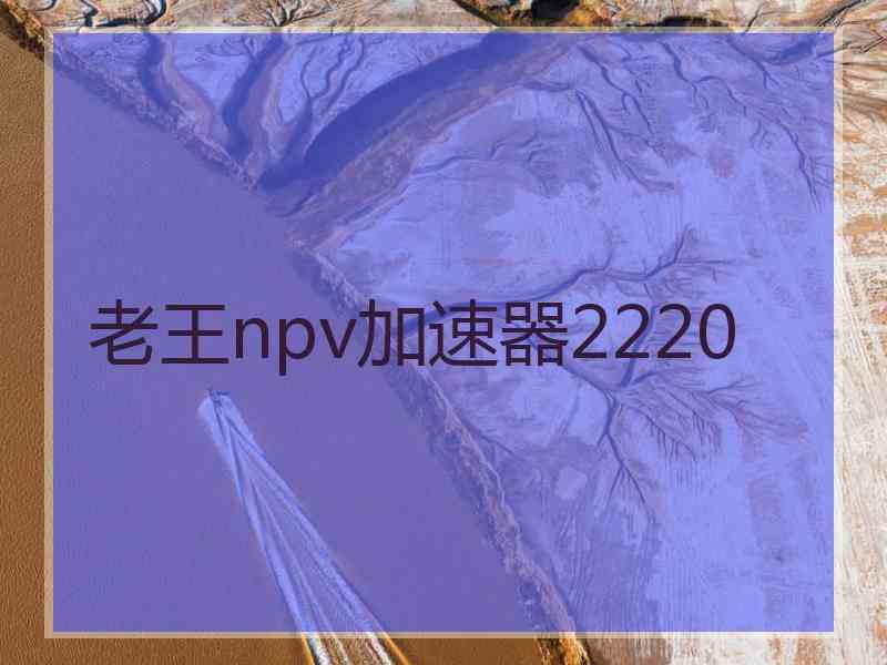 老王npv加速器2220