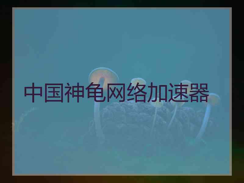 中国神龟网络加速器